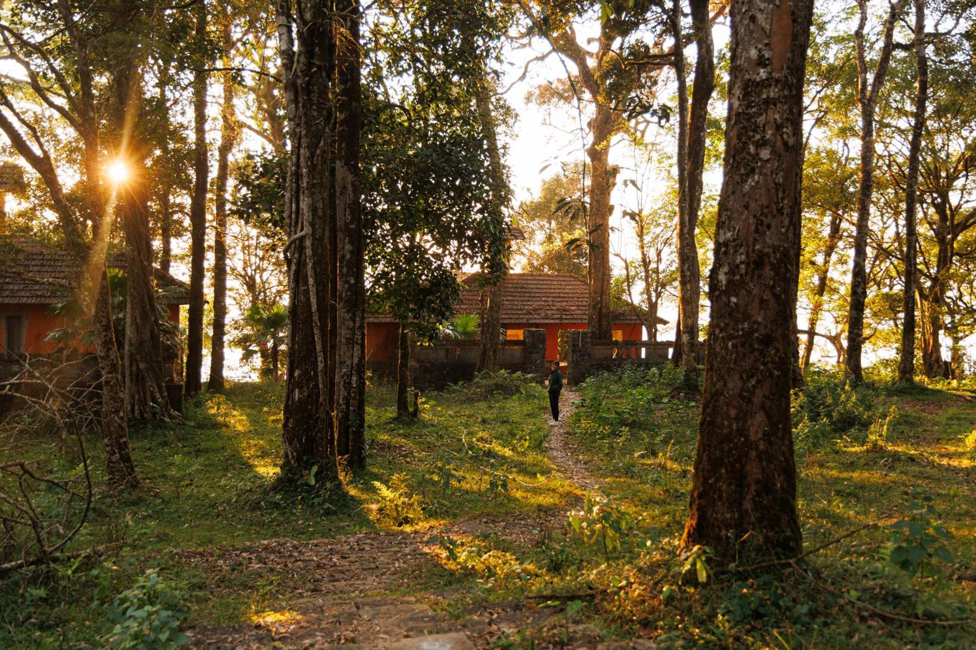 Jungle Park Resort By Greenescapes Vythiri Exteriör bild